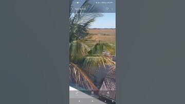 OnePlus 9 Hasselblad Camera App on the Samsung Galaxy A52s | Photo Mode