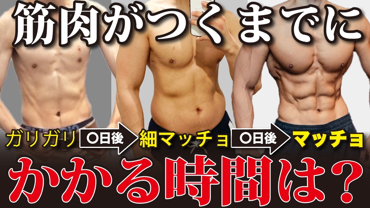 【知らずに諦めないで!】筋トレをして筋肉がつくまでにかかる時間は?