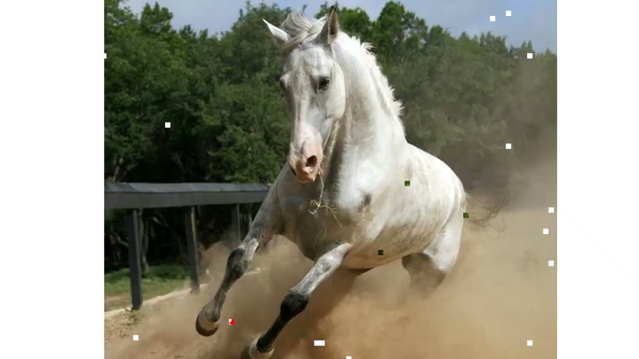 Precision Equine Solutions - Best Horse Arthritis Treatment Supplement