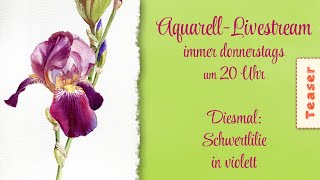 TEASER - realistische Blumen malen in Aquarell - HEUTE: Schwertlilie