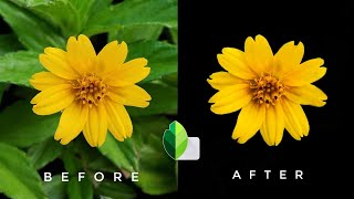 How to make background black in snapseed | how to black background in photo