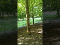 Bikepacking NL