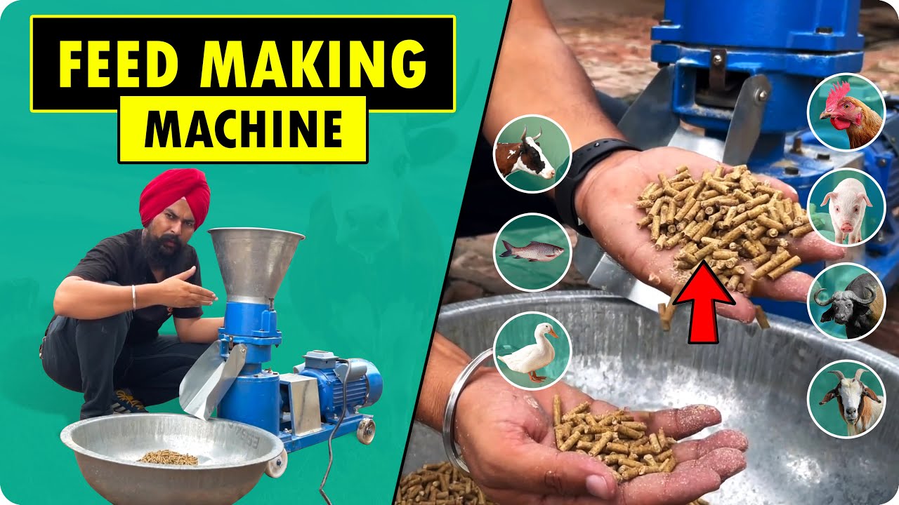 Livestock, Poultry and Fish Feed Making Machine | Make Pig, Goat, Chicken,  Duck & Cow Feed at Home - YouTube