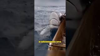 Indian Monk Teaches How To Catch Sharks