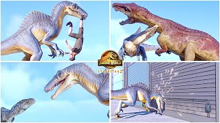 Spinoraptor All Perfect Animations & Interactions 🦖 Jurassic World Evolution 2 Hybrid Secret Species