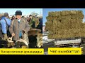 Өзгөн бука базары 🐂! Базар дагы деле ошол баада| Чөп кымбаттап мал баккандар кыйналып 😱