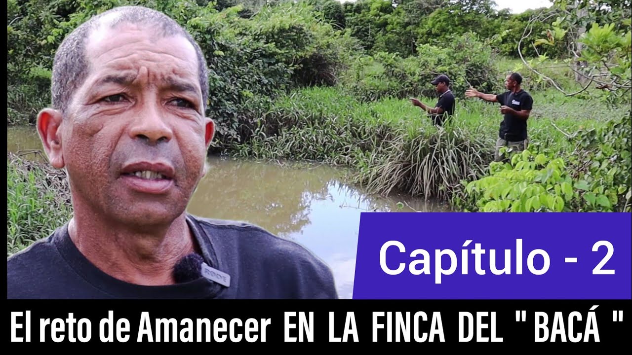 Capítulo  - 2  | El reto de Amanecer  EN  LA  FINCA  DEL  