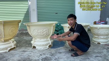 [Mẫu Tết] Giới thiệu và báo giác mẫu khuôn chậu tròn 50,60,73,86 và 100 hàng Việt