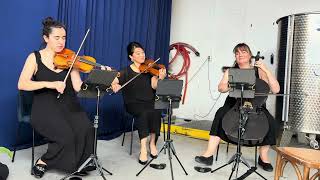 Coldplay Clocks String Trio Cover