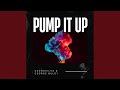 Pump It Up (Extended Mix)