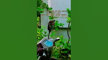 Not every enemy we face is real—sometimes it