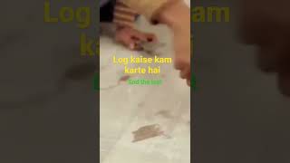 Urgent Rasool Travels