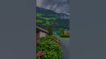 فاصبر صبراً جميلاً | سورة المعارج | القارئ؟
