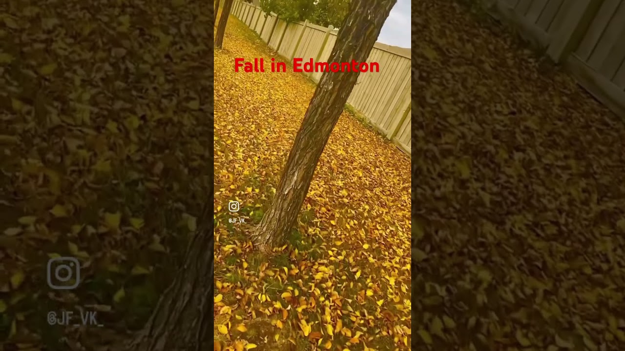 Fall season | Edmonton | Canada 