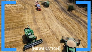 Is a food shortage imminent?  |  NewsNation Prime