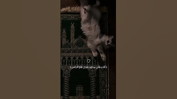تلاوة هادئة سورة الانبياء #سورة #الأنبياء #ontrending