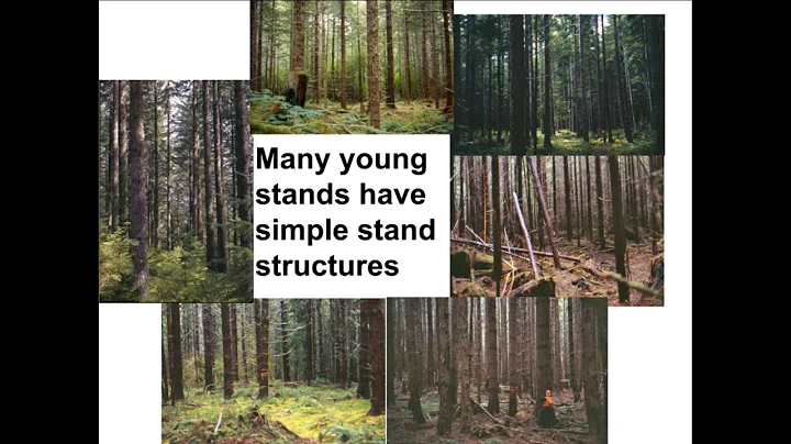 Connie Harrington - Olympic Habitat Development St...