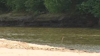 Body found in Chickasawhay River