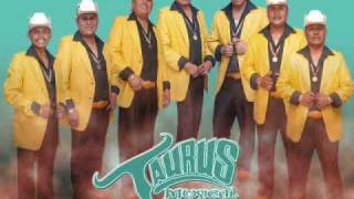 Video thumbnail of "Taurus Musical, Este Dolor"