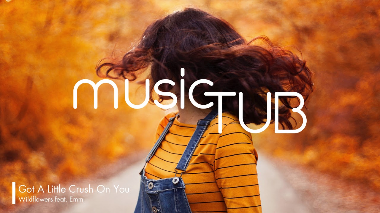 Got A Little Crush On You Wildflowers feat. Emmi [Modern Country