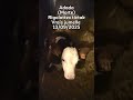 Une vrai jumelle est morte #élevage #naissance #agriculture #montbéliarde