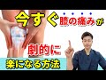 【膝の痛みを治す ストレッチ】今すぐ膝の痛みが劇的に楽になる!誰でも簡単にできるストレッチ&トレーニング