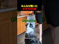 みんなが驚いた天才犬の行動