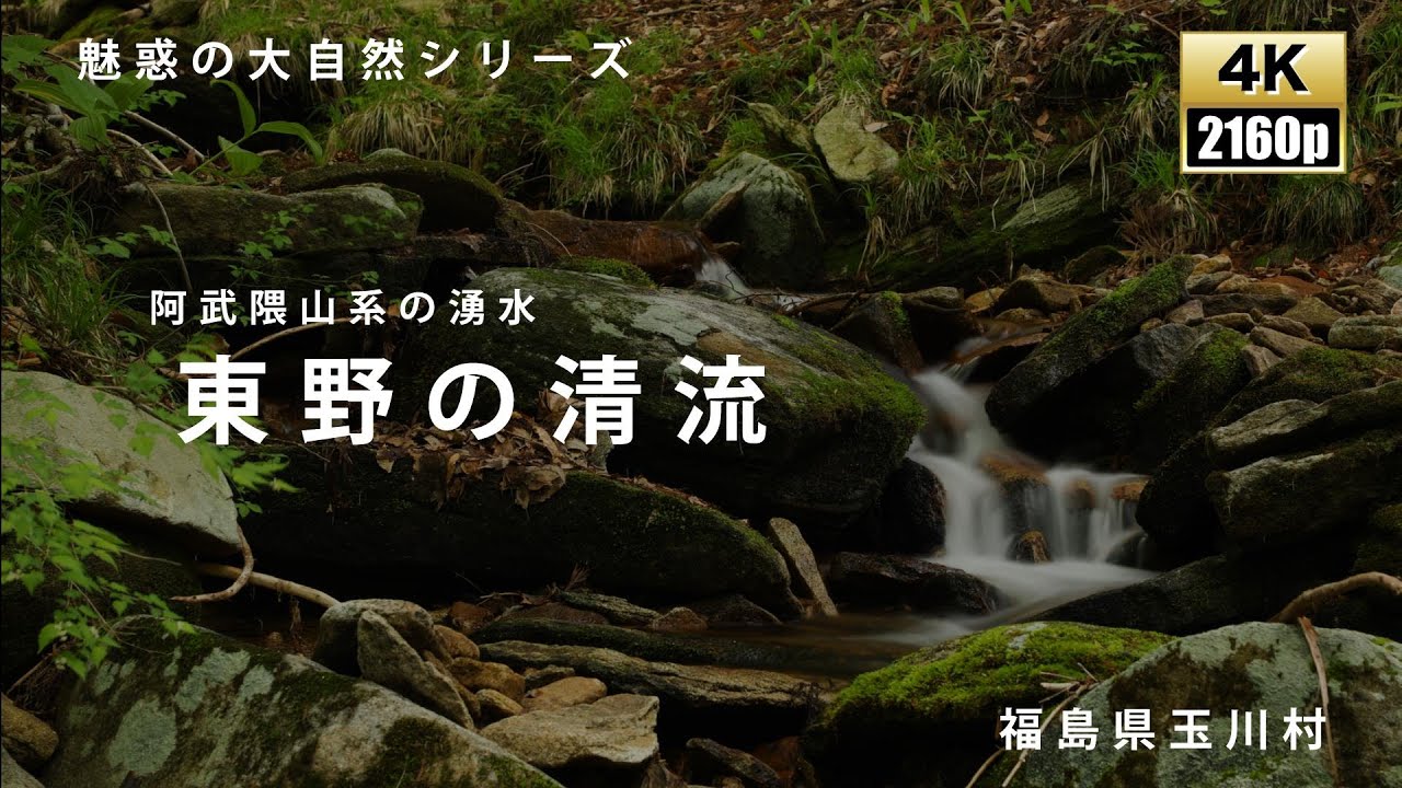 魅惑の大自然 福島県 東野の清流 Youtube