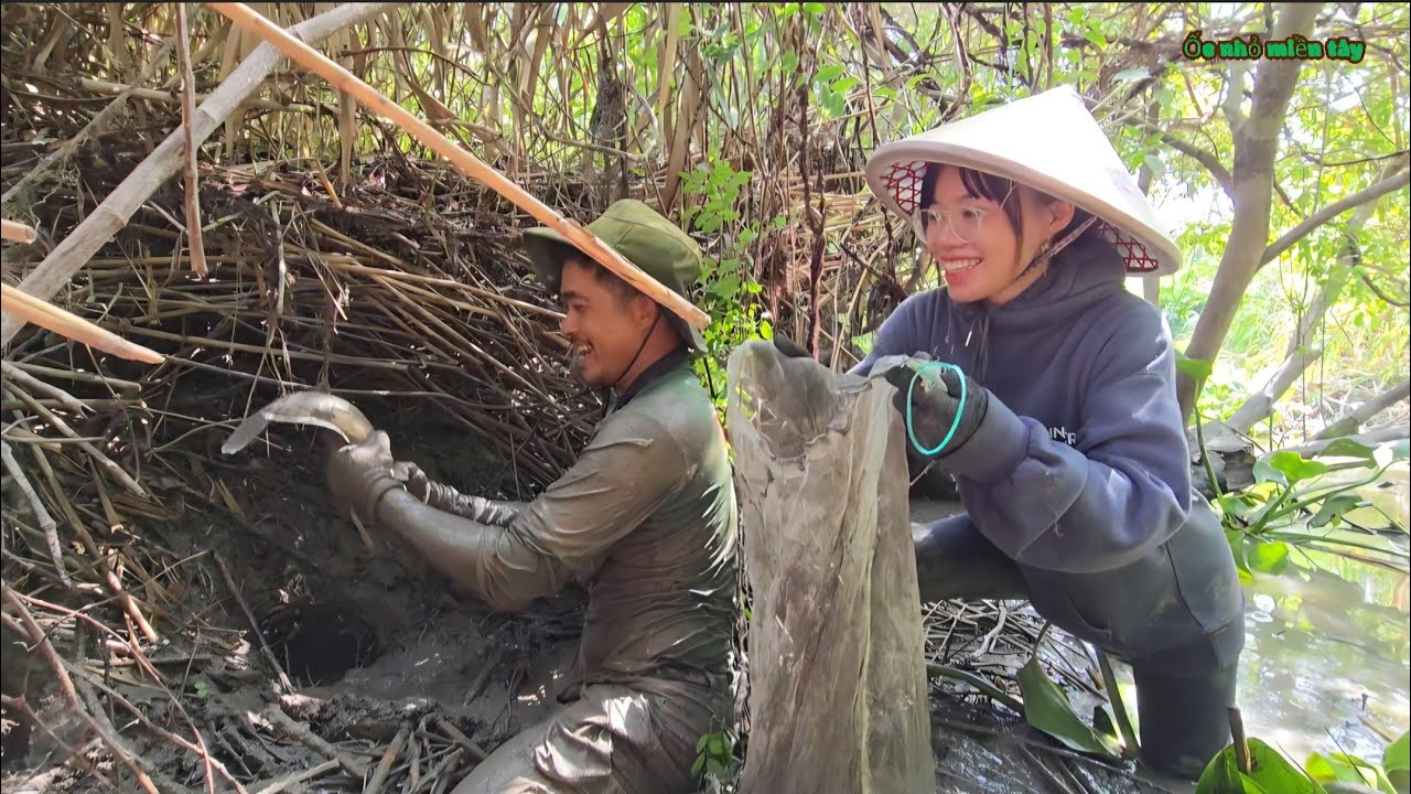 Chùm Cuối Phát Hiện Cái Hang Trong Bụi Rậm Kế Tổ Ong Chứa Nhiều Cá To_Nấu Mắm Kho..| ONMT #Tập 161