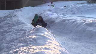 Backyard Luge 2013 2014