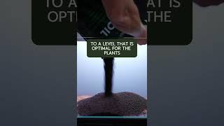 Why You Should Use Aquasoil  Dennerle Plants Shorts  aquascape aquarium