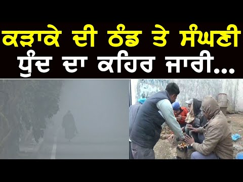 #Ludhiana ਦੀ ਠੰਡ ਨੇ ਸੜਕਾਂ ਦੇ ਵਾਹਨਾਂ ਦੀ ਰਫਤਾਰ ਕੀਤੀ ਹੌਲੀ