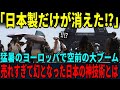 【海外の反応】「売れすぎで在庫がもうない‼」猛暑のドイツで日本のアレが大旋風!人々が求める日本の神技術とは?