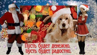 ПРИКОЛЬНОЕ ПОЗДРАВЛЕНИЕ С ГОДОМ СОБАКИ  С НОВЫМ, 2018 М ГОДОМ, ДРУЗЬЯ!