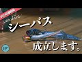 シーバス釣りたいならマジでこれだけ買えばOK！超厳選ルアー三選！【LONGIN】【ima】【BlueBlue】
