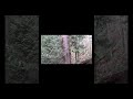 The Accountant - Seed to Centre (Integrated System Mix) - [Stem C] #electronicmusic