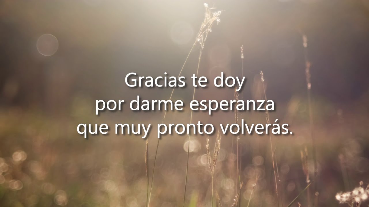 Himno 371 - Jesús te ama (PISTA)