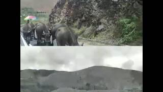 Fsvlog - Samosir, North Sumatera Trip Masih Belajar