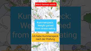 Weird German words, Kummerspeck meaning stress eating.. #learngerman #deutschkurs #germanlanguage