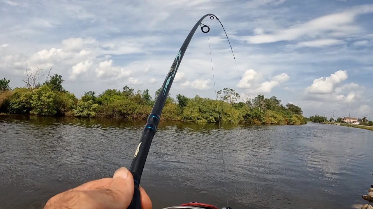 A Mixed Bag Fishing And Shrimping Adventure YouTube