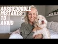 AUSSIEDOODLE - TOP 10 Mistakes to Avoid With Your Aussiedoodle