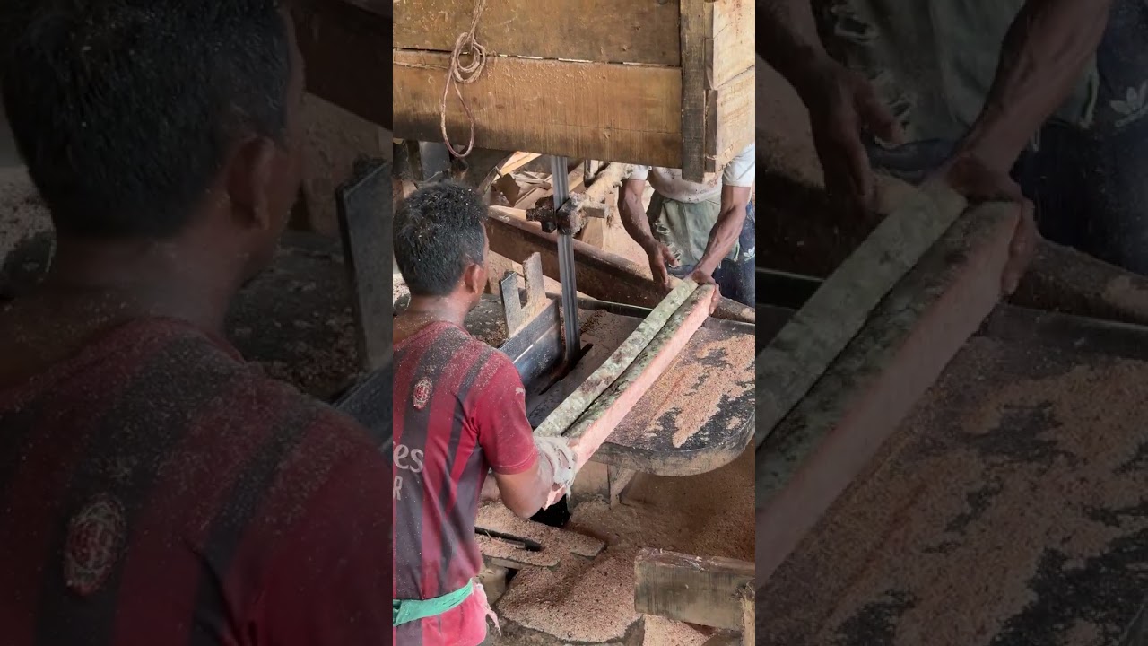 Discover How Sawmill Experts Achieve Precision in Wood Processing 