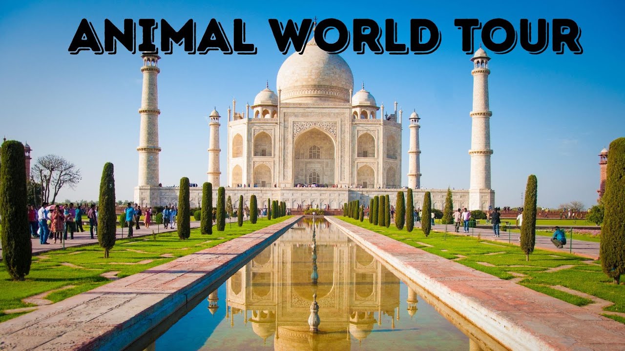Animal World Tour: Discover Indian Wildlife !