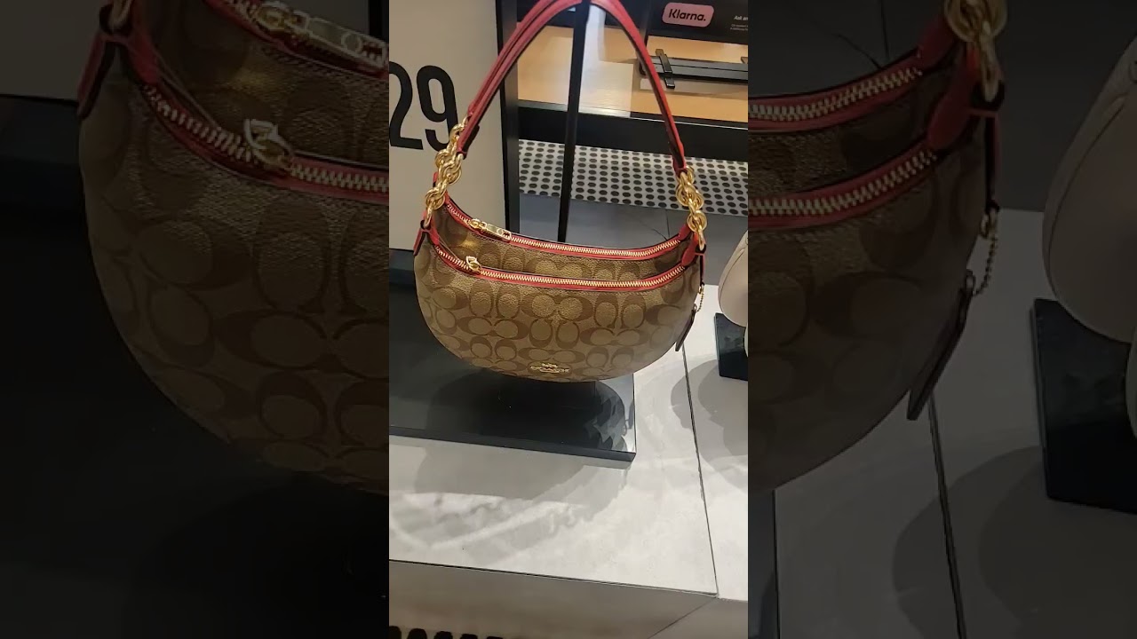 Shop the new 2023 Coach strawberry purse collection