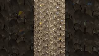 Diamond light