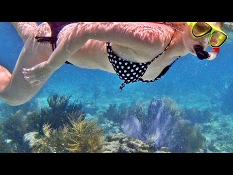 Video: Ilha Grande: surga pulau tropis di Costa Verde Brasil