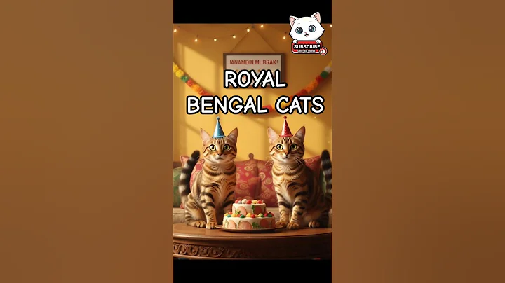 Watch the video about Royal Bengal Cats celebrating birthday #happybirtday #birthday #cat meow, cat videos #meow #cat