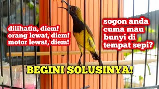 Punya Sogon Bunyinya Cuma ditempat SEPI⁉️ Anda Harus nonton video ini