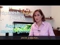 Spanish "HABER" ➤ hay + indefinido + sustantivo - Parte 3