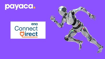 Payaca’s New DNO Application Integration: Fast & Easy Submissions with Real-Time Updates